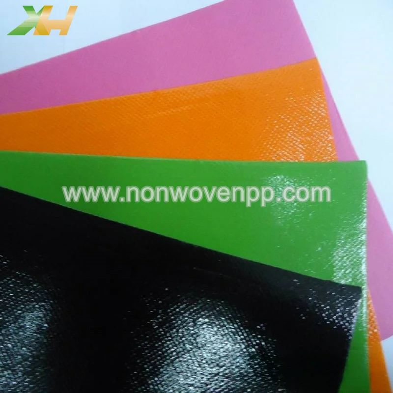 Eco Friendly Laminated Non Woven Fabric